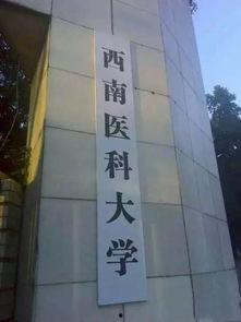 泸州医学院网红,走红网络的教育新星