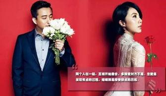 吃瓜娱乐圈模范夫妻小说